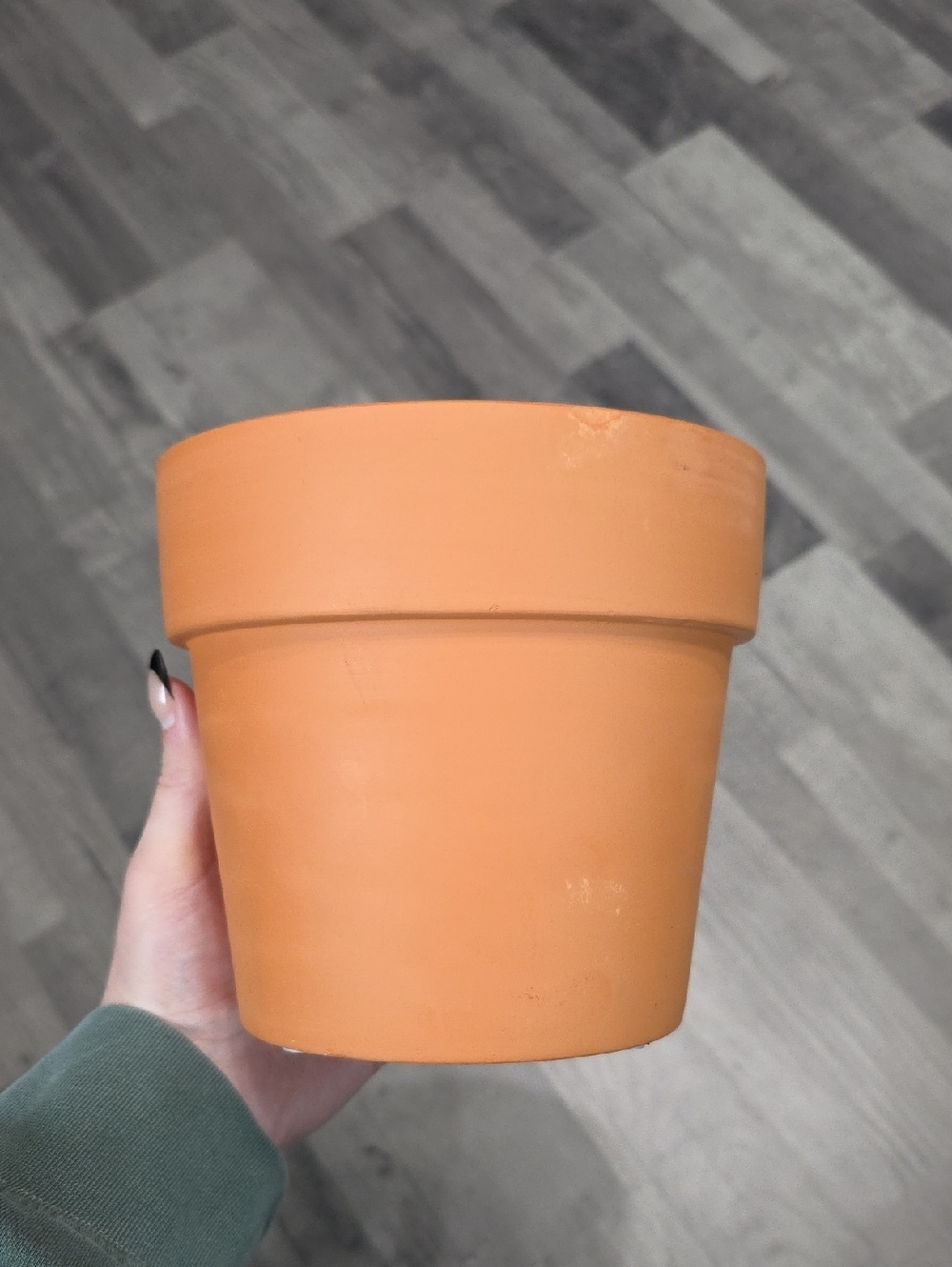 6" Terracotta Clay Plant Pot - Classic Orange